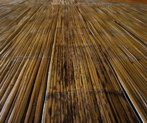 Flooring Forefront: The 2024 Revolution in Sustainable Design